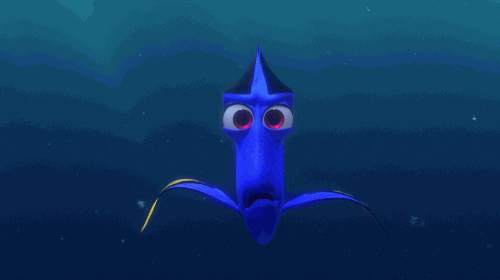 finding nemo pixar gif GIF by Disney Pixar