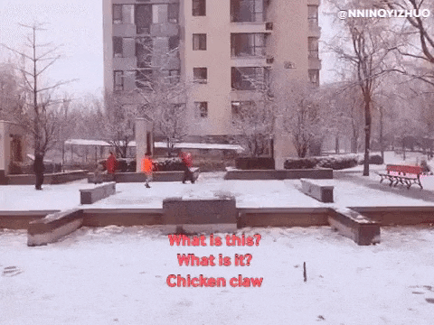 ningyizhuo giphygifmaker GIF