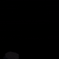 Cms GIF