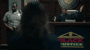 Opening Stumptown GIF by ABC Network