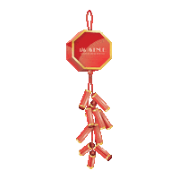 Chinese New Year Hair Sticker by 176 Avenue