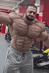 Growth Bodybuilder GIF by Database數據