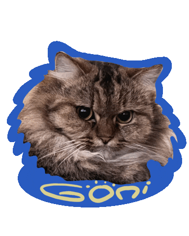 Cat Meow Sticker
