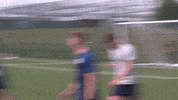 GIF by GatesheadFC