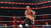 Wwe Wrestling GIF by USA Network