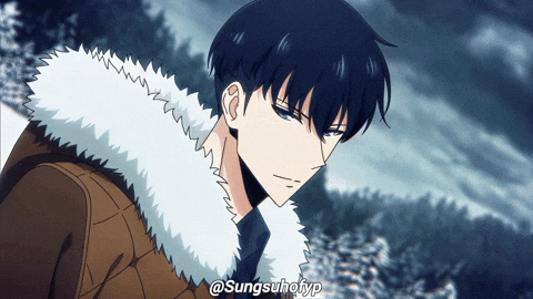 Solo Leveling Sung GIF