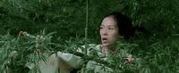 GIF by Crouching Tiger, Hidden Dragon 