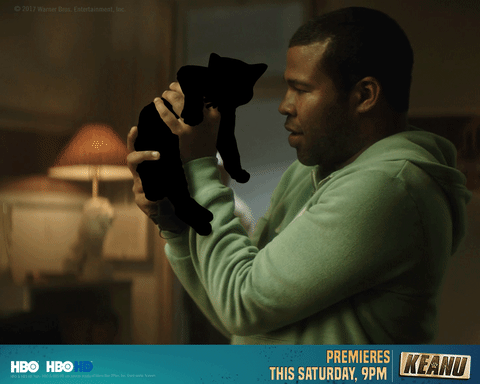 GIF by HBO India