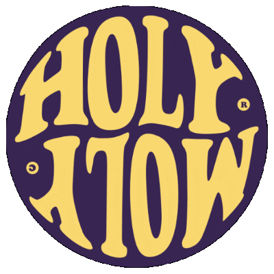 HolyMolyBreda comedy club breda holy moly Sticker