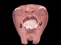 elizartland love art hello eyes GIF