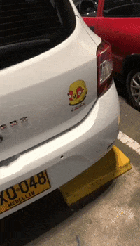 Medellin Invade GIF by La Plaga