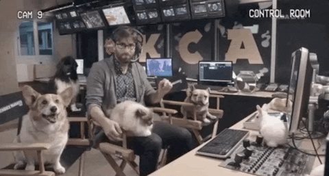 I don&#39;t know GIF by Kids' Choice Awards 2019