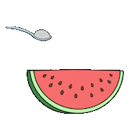 m_ale29 harry styles sugar watermelon fine line Sticker