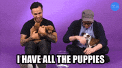 All The Puppies GIF by BuzzFeed