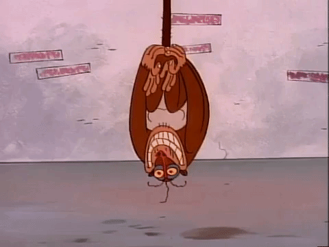 ren and stimpy nicksplat GIF