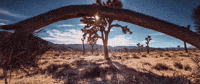 Time Lapse Desert GIF by Pearl Lion