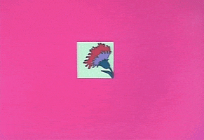 eiichi yamamoto kanashimi no belladonna GIF by Maudit