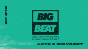 wearebigbeat dance music house edm GIF