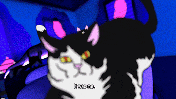 It Was Me Cats GIF by Spaghetti