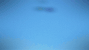 Raddad GIF by Kid-A-Loo
