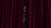 Deha GIF by Show TV