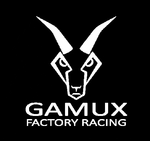 Gamux giphygifmaker gamux gamux racing GIF