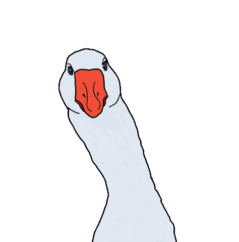 Dance Dancing Sticker