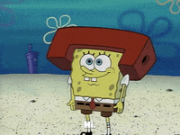 season 2 hello GIF by SpongeBob SquarePants