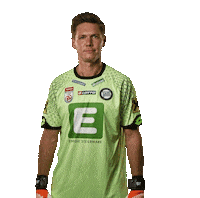 Austria Save Sticker by SK Sturm Graz