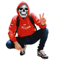 House Skull Sticker by Dynamo Productions