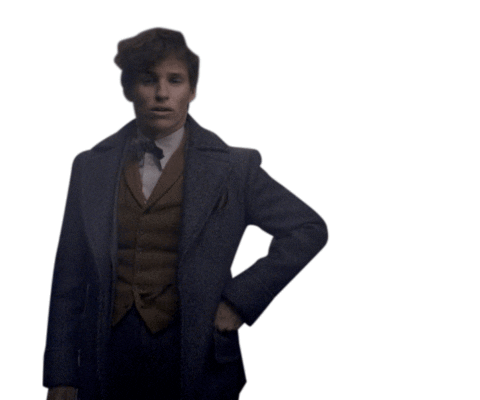 oh come on Sticker by Fantastic Beasts: The Crimes of Grindelwald
