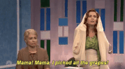 kristen wiig snl GIF by Saturday Night Live