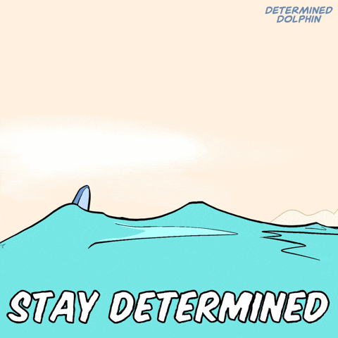 Dolphin Determine GIF by VeeFriends