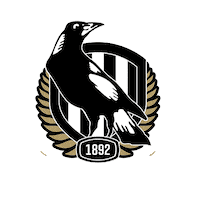 Australian Football League Australia Sticker by AFL