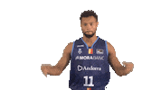 Liga Endesa Basketball Sticker by ACB