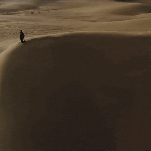 Desert Im Here GIF by Suryagarh Collection