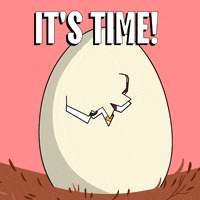 Excited Oh My God GIF by Pudgy Penguins