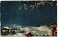 Merry Christmas GIF by Hallmark Gold Crown