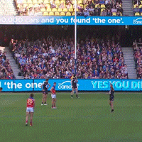 afl  GIF