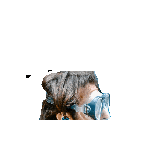 SEARPlugs giphygifmaker water surf swim Sticker