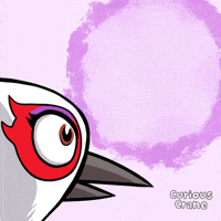 Oh My Wow GIF by VeeFriends