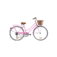 Pink Bicycling Sticker by Reid
