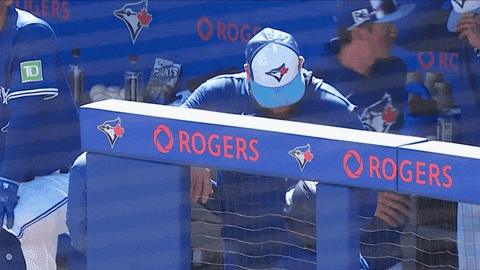 Blue Jays Family GIF by Toronto Blue Jays