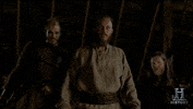tv show GIF by Vikings on HISTORY