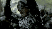 tv show GIF by Vikings on HISTORY