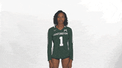 Huntington University Hu GIF by FDN Sports