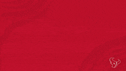 Appear Pop Up GIF by Houston Texans