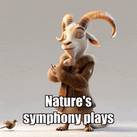 Peace Wisdom GIF by Radiantelope