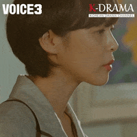 Korean Drama Police GIF by Eccho Rights