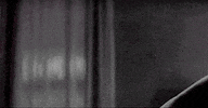 the notebook love GIF